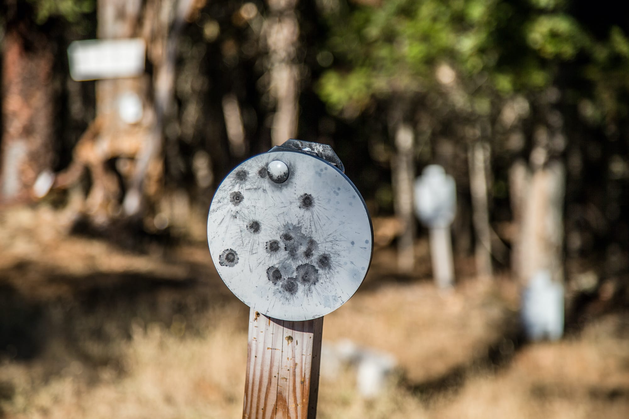 Pistols are THE hardest to learn to shoot, and where most 3-Gunners need to spend more of their time and budget practicing.  